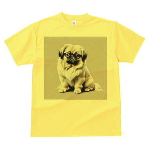 yLj[Y TVc fB[X t@  t  vg JWA 킢 lԗp h ̃fUC ʔ Kl yLj[Y