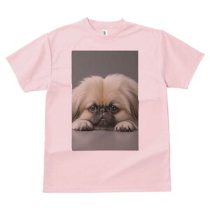 yLj[Y TVc fB[X t@  t  vg JWA 킢 lԗp h ̃fUC ʔ yLj[Y