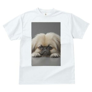 yLj[Y TVc fB[X t@  t  vg JWA 킢 lԗp h ̃fUC ʔ yLj[Y