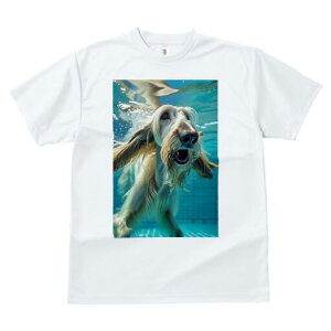 AtKnEh TVc fB[X t@  t  vg JWA 킢 lԗp h ̃fUC ʔ  AtKnEh 