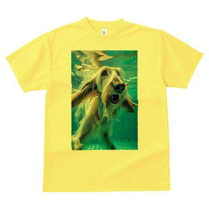 AtKnEh TVc fB[X t@  t  vg JWA 킢 lԗp h ̃fUC ʔ  AtKnEh 