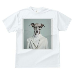 C^AO[nEh TVc fB[X t@  t  vg JWA 킢 lԗp h ̃fUC ʔ X[c C^AO[nEh ዾ