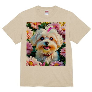 }`[Y TVc fB[X t@  t  vg JWA 킢 lԗp h ̃fUC ʔ  }`[Y t 킢 |bv