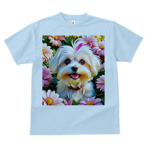 }`[Y TVc fB[X t@  t  vg JWA 킢 lԗp h ̃fUC ʔ  }`[Y t 킢 |bv