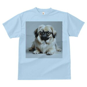 yLj[Y TVc fB[X t@  t  vg JWA 킢 lԗp h ̃fUC ʔ Kl yLj[Y