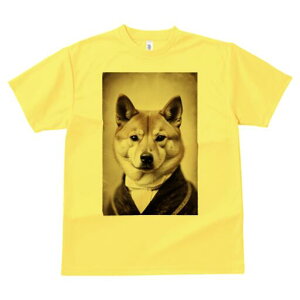 Č TVc fB[X t@  t  vg JWA 킢 lԗp h ̃fUC ʔ ё Č X[c