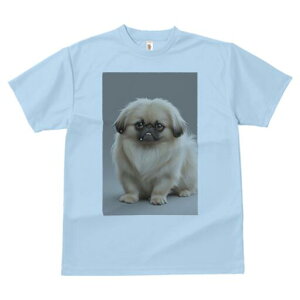 yLj[Y TVc fB[X t@  t  vg JWA 킢 lԗp h ̃fUC ʔ yLj[Y