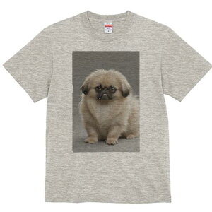 yLj[Y TVc fB[X t@  t  vg JWA 킢 lԗp h ̃fUC ʔ yLj[Y