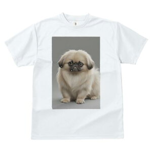 yLj[Y TVc fB[X t@  t  vg JWA 킢 lԗp h ̃fUC ʔ yLj[Y