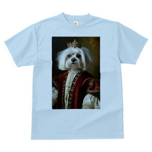 }`[Y TVc fB[X t@  t  vg JWA 킢 lԗp h ̃fUC ʔ  }`[Y [u  {