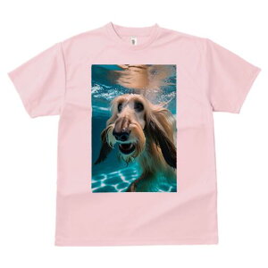 AtKnEh TVc fB[X t@  t  vg JWA 킢 lԗp h ̃fUC ʔ  AtKnEh 