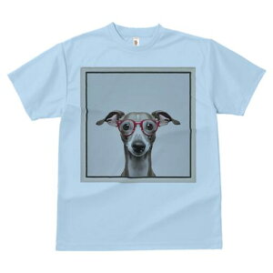 C^AO[nEh TVc fB[X t@  t  vg JWA 킢 lԗp h ̃fUC ʔ Kl C^AO[nEh