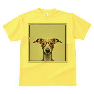 C^AO[nEh TVc Y LbY t@  t  vg JWA 킢 lԗp h ̃fUC ʔ Kl C^AO[nEh