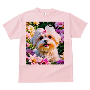 }`[Y TVc fB[X t@  t  vg JWA 킢 lԗp h ̃fUC ʔ  }`[Y t 킢 