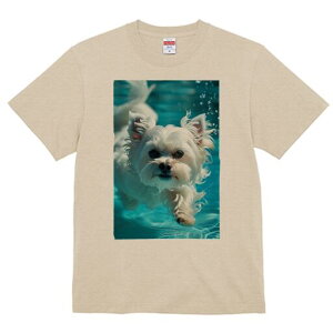 }`[Y TVc fB[X t@  t  vg JWA 킢 lԗp h ̃fUC ʔ  }`[Y v[