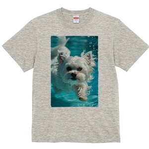 }`[Y TVc fB[X t@  t  vg JWA 킢 lԗp h ̃fUC ʔ  }`[Y v[