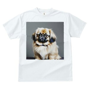 yLj[Y TVc fB[X t@  t  vg JWA 킢 lԗp h ̃fUC ʔ Kl yLj[Y