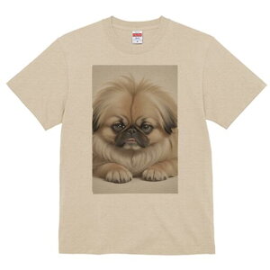 yLj[Y TVc fB[X t@  t  vg JWA 킢 lԗp h ̃fUC ʔ yLj[Y