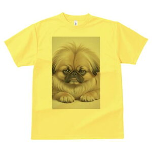 yLj[Y TVc fB[X t@  t  vg JWA 킢 lԗp h ̃fUC ʔ yLj[Y