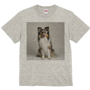 VFbghV[vhbO TVc fB[X t@  t  vg JWA 킢 lԗp h ̃fUC ʔ Kl VFbghV[vhbO