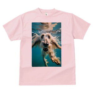 AtKnEh TVc fB[X t@  t  vg JWA 킢 lԗp h ̃fUC ʔ  AtKnEh 