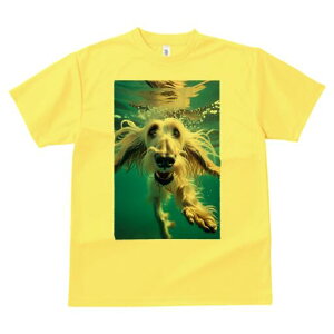 AtKnEh TVc fB[X t@  t  vg JWA 킢 lԗp h ̃fUC ʔ  AtKnEh 