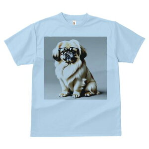 yLj[Y TVc fB[X t@  t  vg JWA 킢 lԗp h ̃fUC ʔ Kl yLj[Y