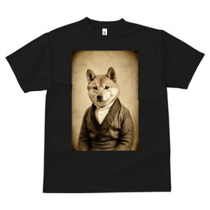 Č TVc fB[X t@  t  vg JWA 킢 lԗp h ̃fUC ʔ am Č X[c  g