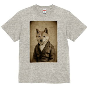 Č TVc fB[X t@  t  vg JWA 킢 lԗp h ̃fUC ʔ am Č X[c  g