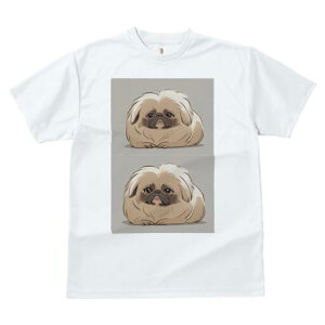 yLj[Y TVc fB[X t@  t  vg JWA 킢 lԗp h ̃fUC ʔ yLj[Y