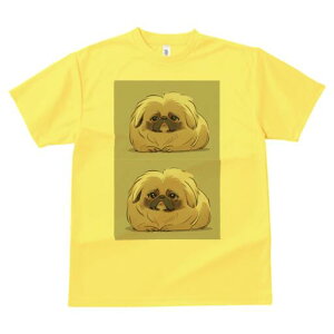 yLj[Y TVc fB[X t@  t  vg JWA 킢 lԗp h ̃fUC ʔ yLj[Y