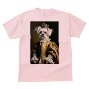 }`[Y TVc fB[X t@  t  vg JWA 킢 lԗp h ̃fUC ʔ  }`[Y hX [X