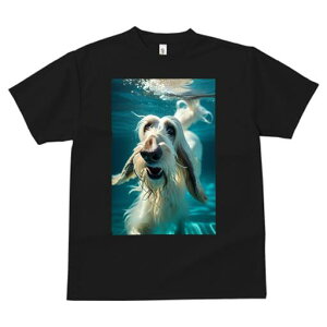 AtKnEh TVc fB[X t@  t  vg JWA 킢 lԗp h ̃fUC ʔ  AtKnEh 