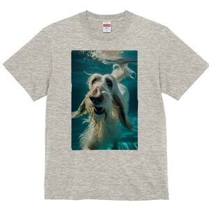 AtKnEh TVc fB[X t@  t  vg JWA 킢 lԗp h ̃fUC ʔ  AtKnEh 