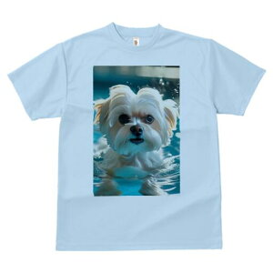 }`[Y TVc fB[X t@  t  vg JWA 킢 lԗp h ̃fUC ʔ  }`[Y v[