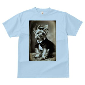 [NV[eA TVc fB[X t@  t  vg JWA 킢 lԗp h ̃fUC ʔ { [NV[eA 