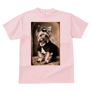 [NV[eA TVc fB[X t@  t  vg JWA 킢 lԗp h ̃fUC ʔ { [NV[eA 