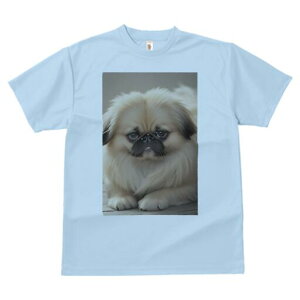 yLj[Y TVc fB[X t@  t  vg JWA 킢 lԗp h ̃fUC ʔ yLj[Y