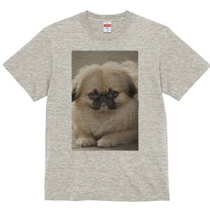 yLj[Y TVc fB[X t@  t  vg JWA 킢 lԗp h ̃fUC ʔ yLj[Y