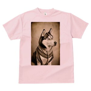 VxAnXL[ TVc fB[X t@  t  vg JWA 킢 lԗp h ̃fUC ʔ XJ[t VxAnXL[