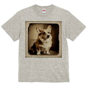 R[M[ TVc fB[X t@  t  vg JWA 킢 lԗp h ̃fUC ʔ g R[M[