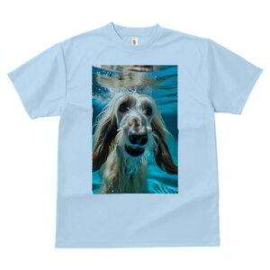 AtKnEh TVc fB[X t@  t  vg JWA 킢 lԗp h ̃fUC ʔ  AtKnEh 