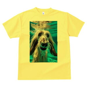 AtKnEh TVc fB[X t@  t  vg JWA 킢 lԗp h ̃fUC ʔ  AtKnEh 