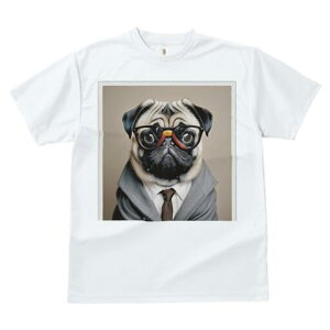 pO TVc fB[X t@  t  vg JWA 킢 lԗp h ̃fUC ʔ Kl pO X[c lN^C