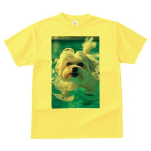 }`[Y TVc fB[X t@  t  vg JWA 킢 lԗp h ̃fUC ʔ  }`[Y v[