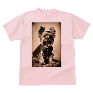 [NV[eA TVc fB[X t@  t  vg JWA 킢 lԗp h ̃fUC ʔ g [NV[eA Be[W 