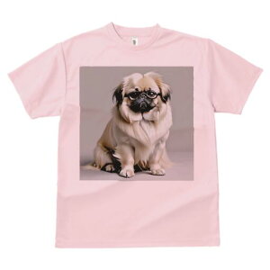 yLj[Y TVc fB[X t@  t  vg JWA 킢 lԗp h ̃fUC ʔ Kl yLj[Y