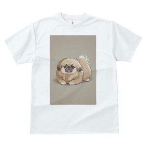 yLj[Y TVc fB[X t@  t  vg JWA 킢 lԗp h ̃fUC ʔ yLj[Y