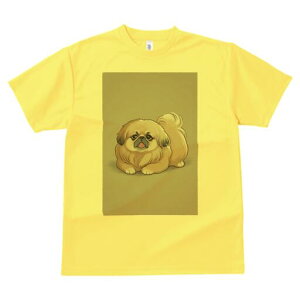 yLj[Y TVc fB[X t@  t  vg JWA 킢 lԗp h ̃fUC ʔ yLj[Y