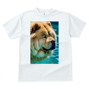 `E`E TVc fB[X t@  t  vg JWA 킢 lԗp h ̃fUC ʔ  `E`E